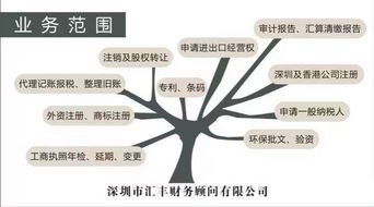 深圳進出口經營權與代理進出口服務全解析